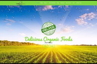 How To Make A PREMIUM eCommerce Website with WordPress | Online Store Tutorial 2016!