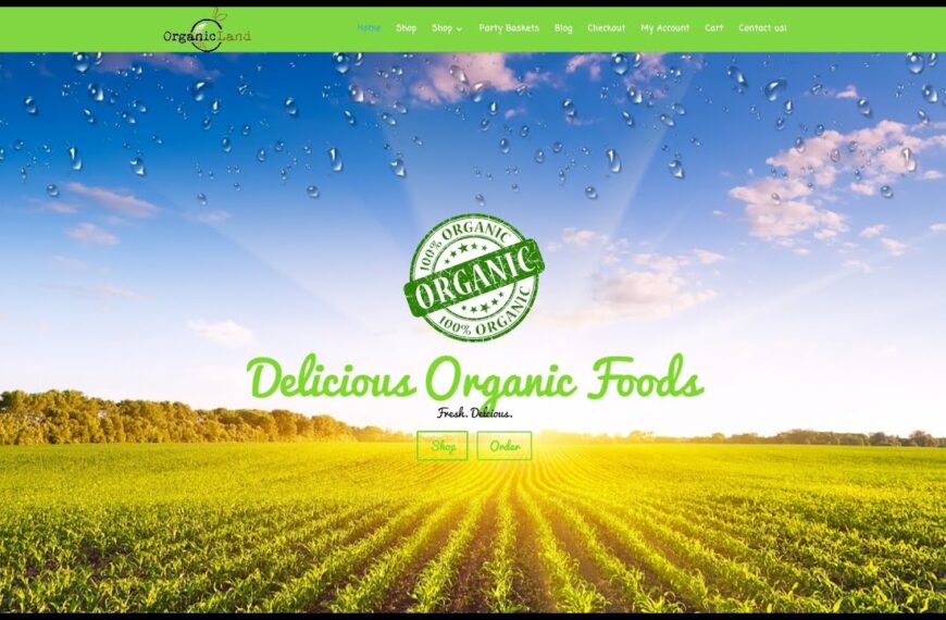 How To Make A PREMIUM eCommerce Website with WordPress | Online Store Tutorial 2016!