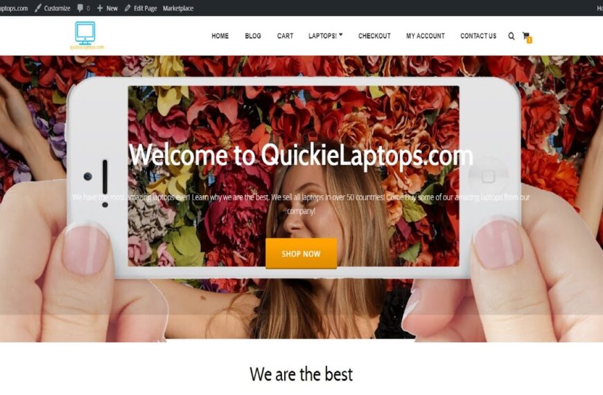 How To Create A Professional and Free eCommerce Website with WordPress 2017 (Online Store)
