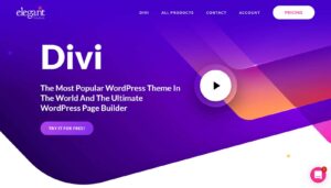 Divi Theme Get Unlimited Themes