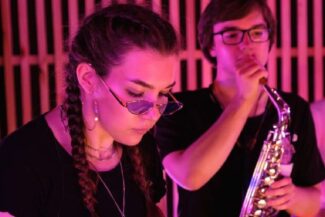 50 Elementor Widgets Explained