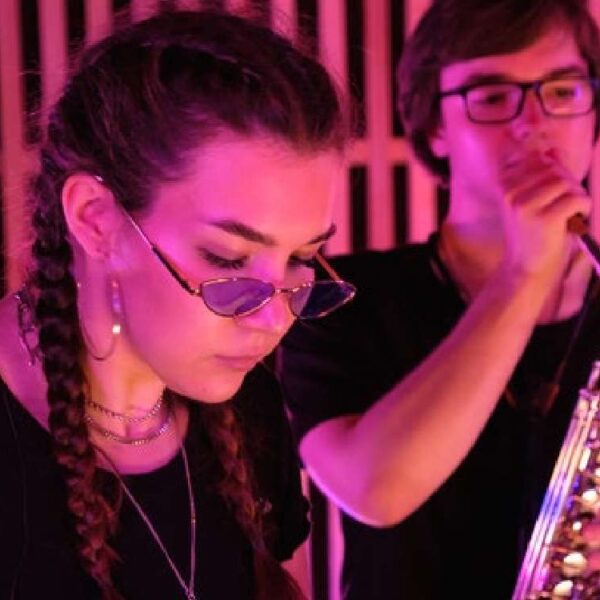 50 Elementor Widgets Explained