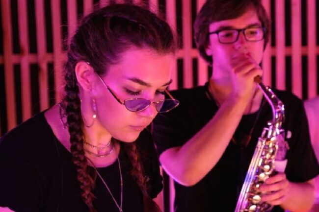 50 Elementor Widgets Explained